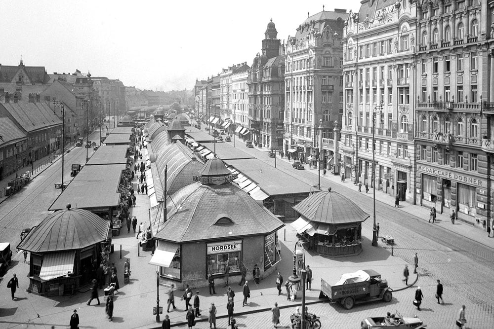 Mina Yaney urban 2.jpg